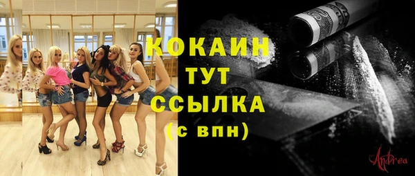 spice Абинск