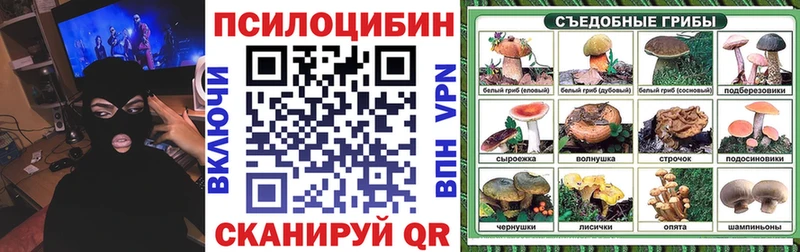 Псилоцибиновые грибы мицелий  где найти наркотики  Дальнереченск 